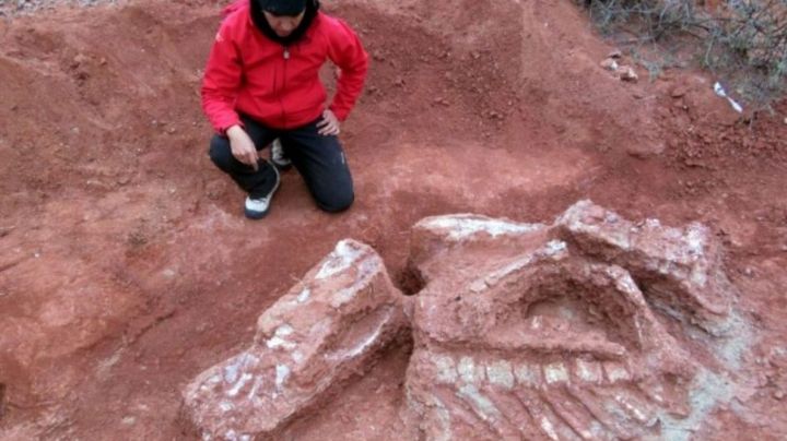 Crearán una importante reserva paleontológica en Balde de Leyes
