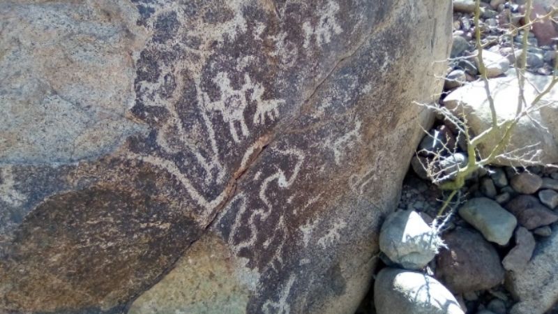 Hallaron grabados rupestres en Barreal: uno tenía indicios de haber sufrido alteraciones