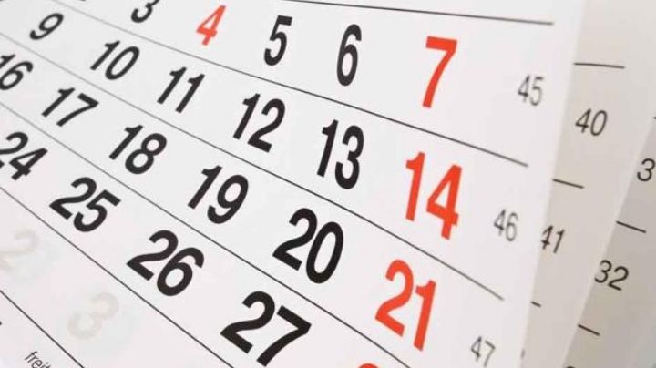 Agendá: este es el calendario de feriados para el 2020