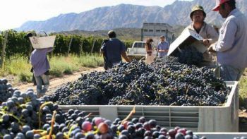 Paritaritas de trabajadores de viñas y bodegas: confirmaron un importante aumento hasta mayo