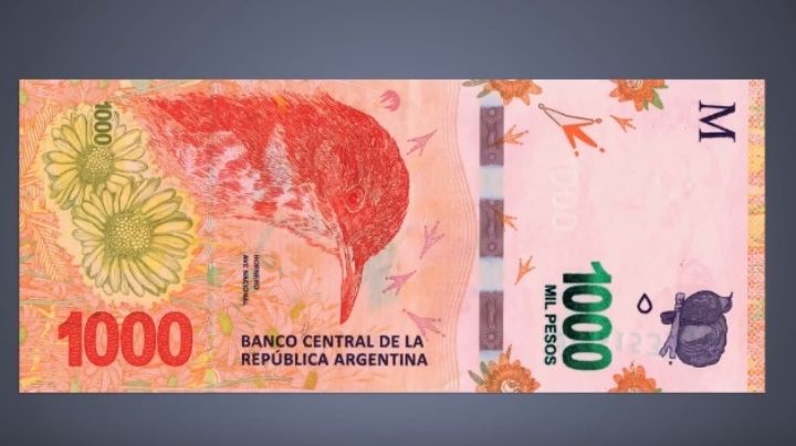 Video: ¿Cómo reconocer un billete falso de $1000?