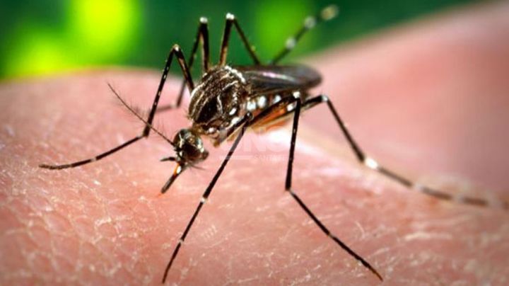 Formosa: hay 12 casos confirmados de dengue