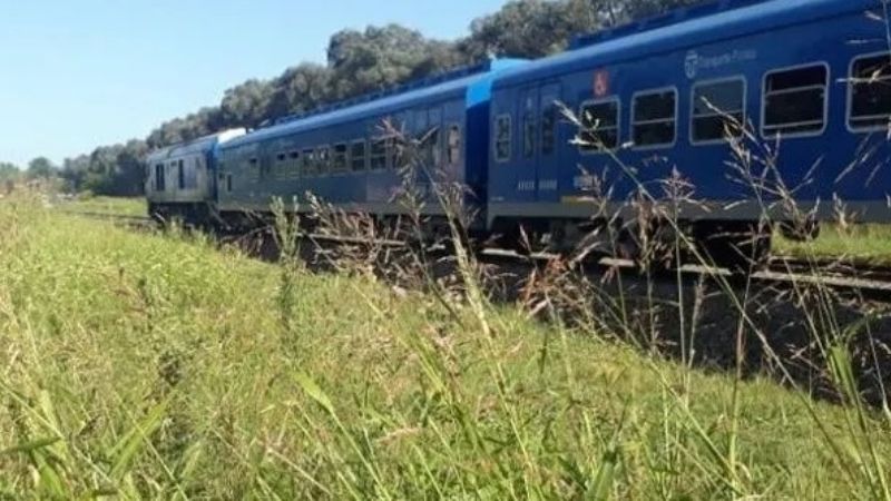 Dos nenes murieron arrollados por el tren al intentar rescatar a su perro