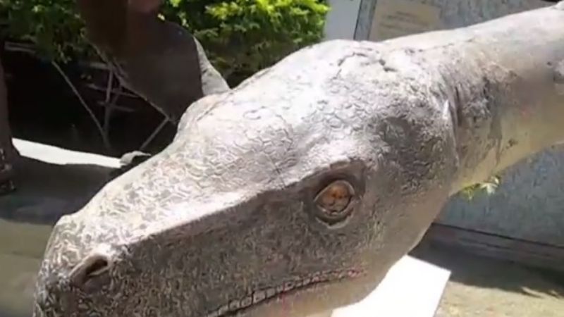 ¡Dinosaurios vivos!: Lizy Tagliani sorprendida en San Juan