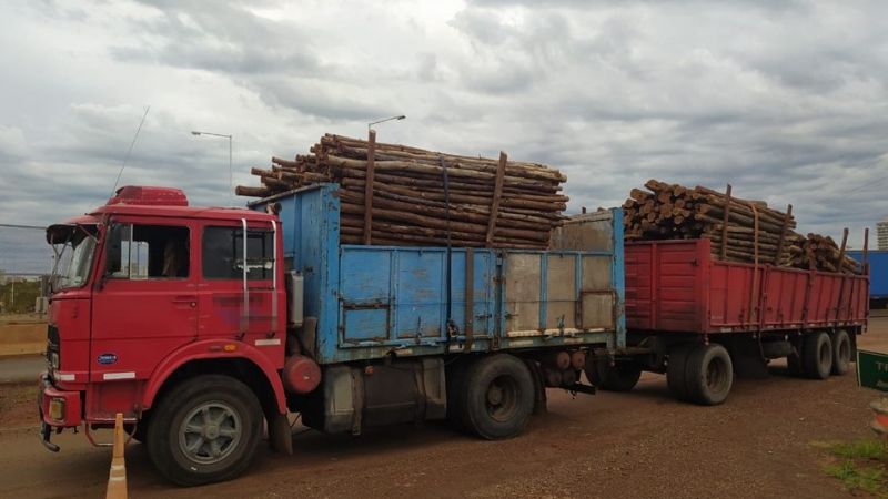 Misiones: escondieron 300 kilos de marihuana en un camión que transportaba madera