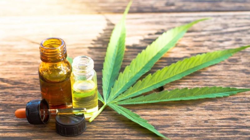 Vizzotti presentó el nuevo registro para el cultivo controlado del cannabis con fines medicinales