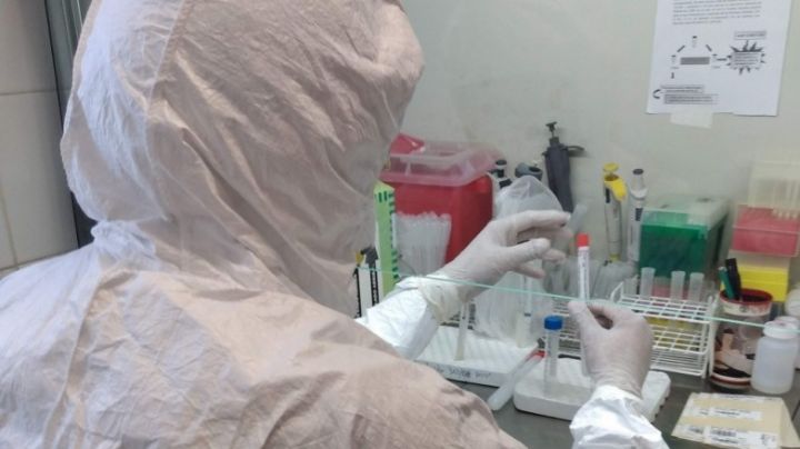 Suba de casos de coronavirus en San Juan: detectaron 308 en un día