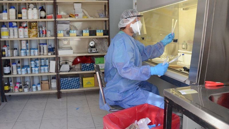 Un nene de 2 años, entre los 7 casos de coronavirus positivos en Neuquén