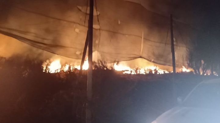 Voraz incendio en una finca en Ullum: encontraron tachos con aceite