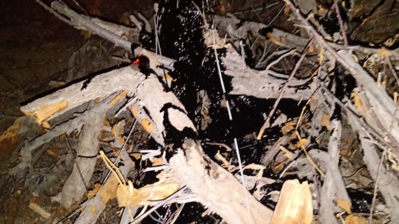 Voraz incendio en una finca en Ullum: encontraron tachos con aceite