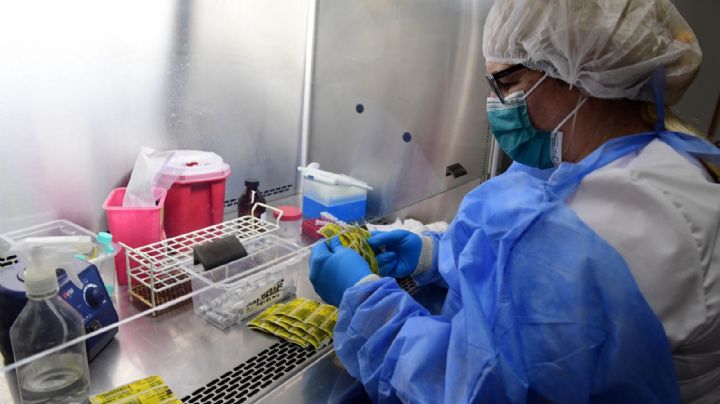En ascenso: se registraron 19.437 nuevos casos  y 179 muertes por coronavirus en Argentina