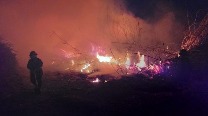 Bomberos intervino en más de 140 incendios que se extendieron por el viento Zonda