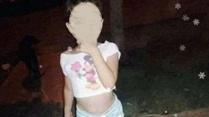 Nena muerta por el pitbull: declararon sus primos y ahora se aguarda resolución sobre la carátula