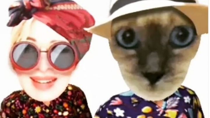 Poroto influencer: Nacha Guevara le hizo un perfil en Instagram a su gato y arrasó con los seguidores