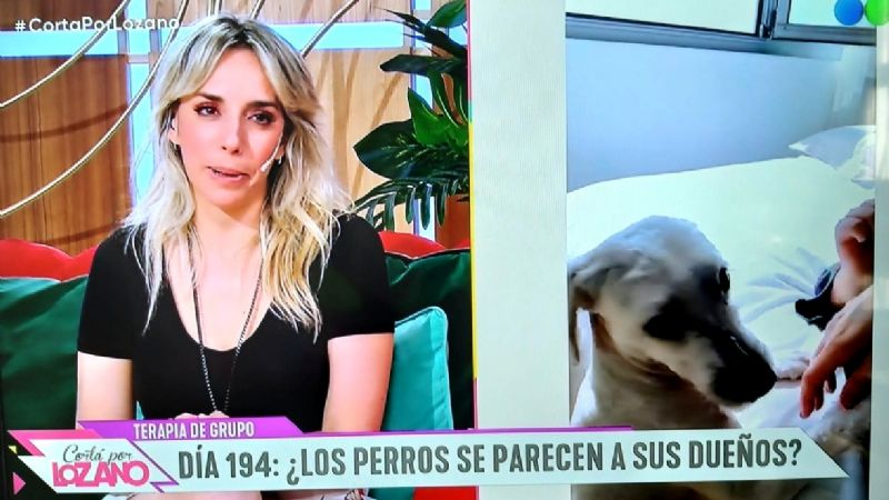 ¡Igualitos! en Cortá por Lozano, los perros "se parecen" a sus dueños