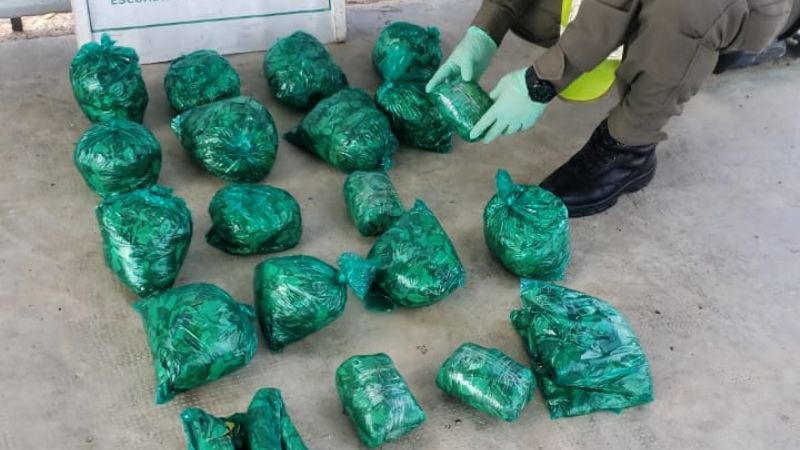 Encontraron 35 paquetes de hojas de coca que venían en colectivos hacia San Juan
