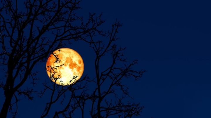 ¿Qué es la Luna de Gusano, que ya se puede ver este domingo?