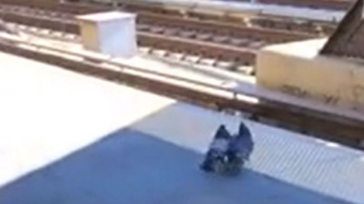 Video viral: palomas “asesinas” arrojaron a otra a las vías de un tren
