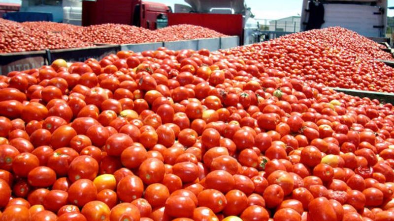 El Congreso Mundial del Tomate se realizará 100% virtual