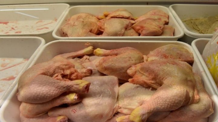 Gripe aviar: por el cierre de las exportaciones creen que bajaría el precio de los pollos en San Juan