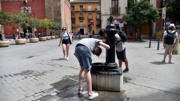 La ola de calor ya causó 679 muertes en España en una semana