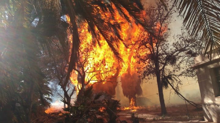 En lo que va del año, en San Juan ya se registraron más de 400 incendios