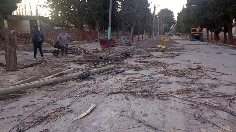 Caída de postes y árboles: las consecuencias del fuerte viento en Jáchal