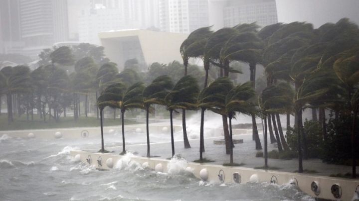 Según un informe, Miami podría desaparecer por un huracán o subida de mar