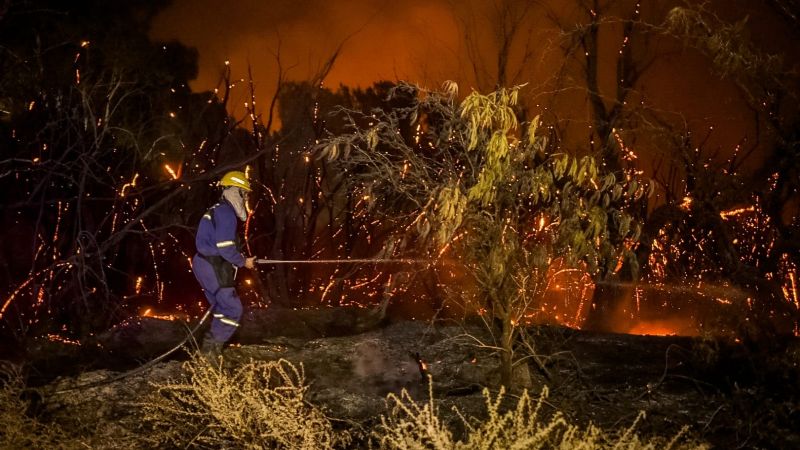 Incendios forestales incontrolables: avanza en San Juan un "Plan de Manejo del Fuego"