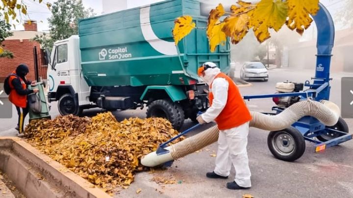 Capital: más de 20 mil kilos de hojas secas y trituradas para compost
