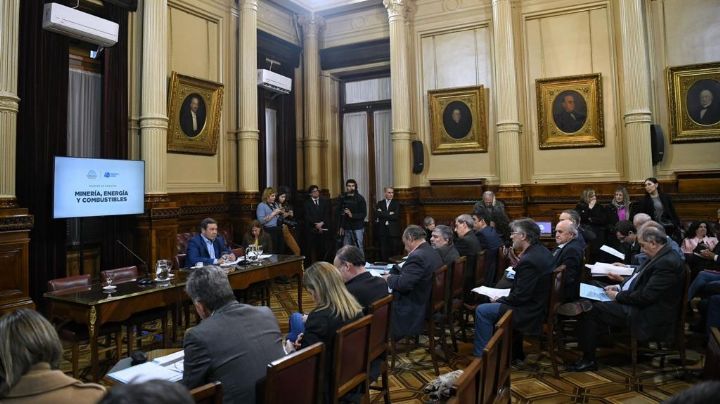 Rubén Uñac inició un nuevo período como presidente de la comisión de Minería del Senado