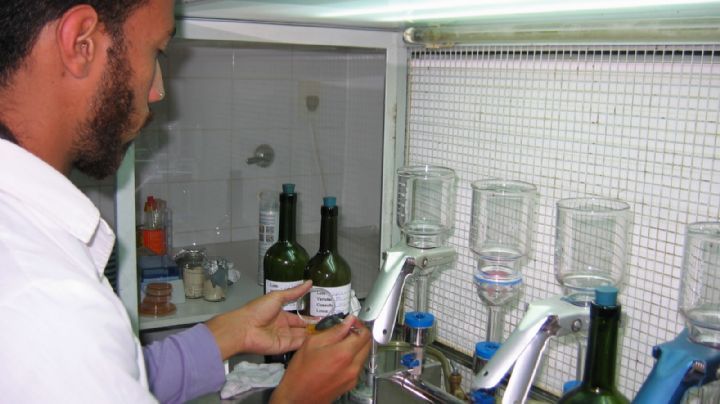 Bodegueros, con oportunidad de capacitarse en análisis microbiológico del vino