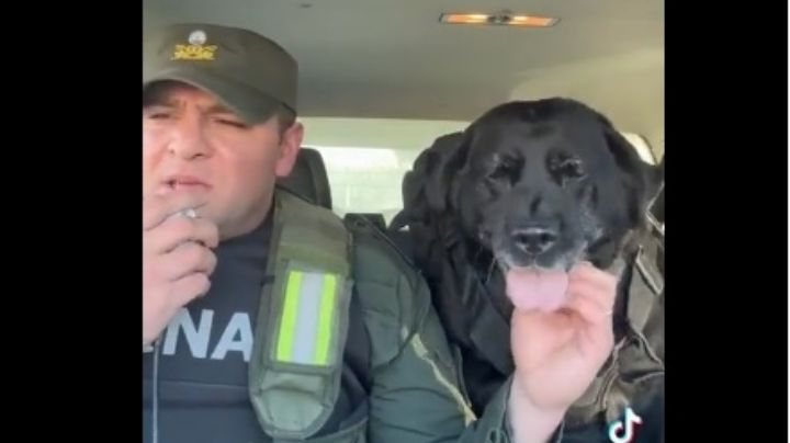 Con quién vivirá Pecky, la perra que se retiró con honores y emoción de Gendarmería Nacional