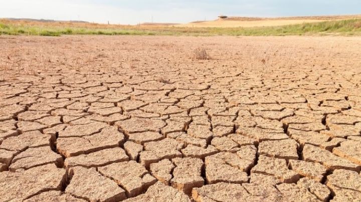 Lozano sobre el cambio climático: "Nos están cascoteando el rancho"