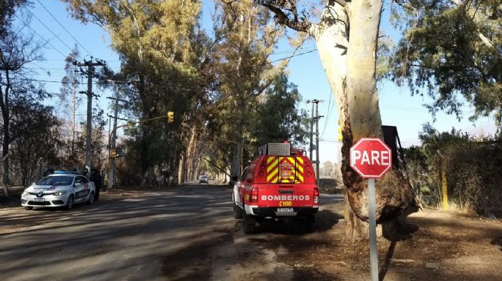 Alerta en Parque Sarmiento: Bomberos luchan contra un incendio cercano