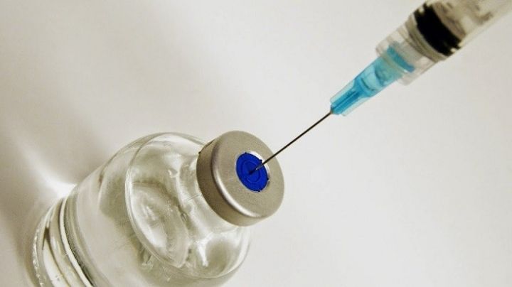 Vacuna antirrábica humana: registraron una inscripción rápida pero la asistencia no fue la esperada