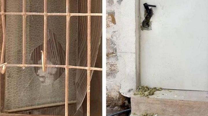 Rompieron una ventana y robaron en una vivienda en Albardón