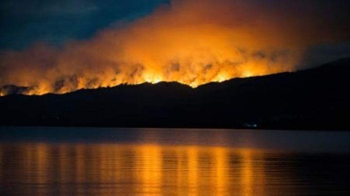 Desastre ecológico: son más de 2.000 las hectáreas quemadas del Parque Nacional Los Alerces