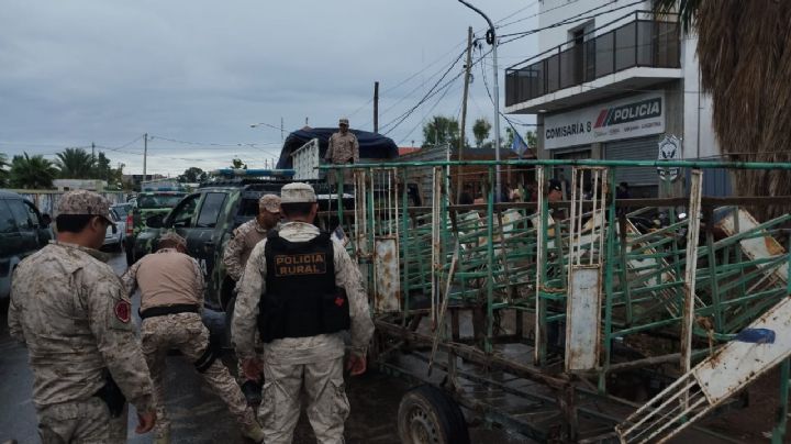 Hacían una carrera de galgos en Sarmiento y los sorprendió la policía: 21 personas, detenidas