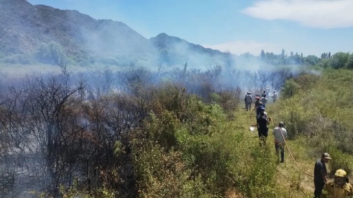 Un importante incendio afectó varias hectáreas en Astica