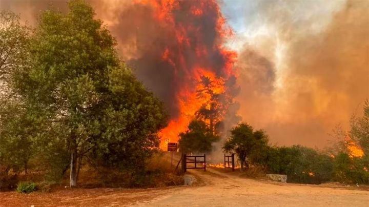Al menos 19 muertos por los incendios forestales en Chile: se declaró el estado de excepción